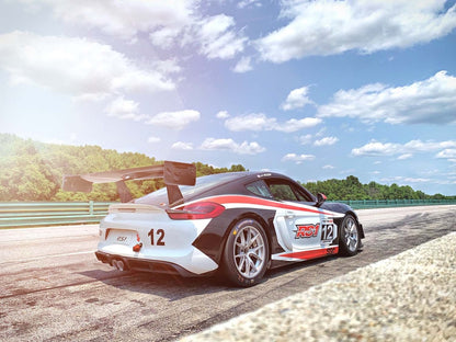 V1X Rear Wing Kit - Porsche 981/718 GT4