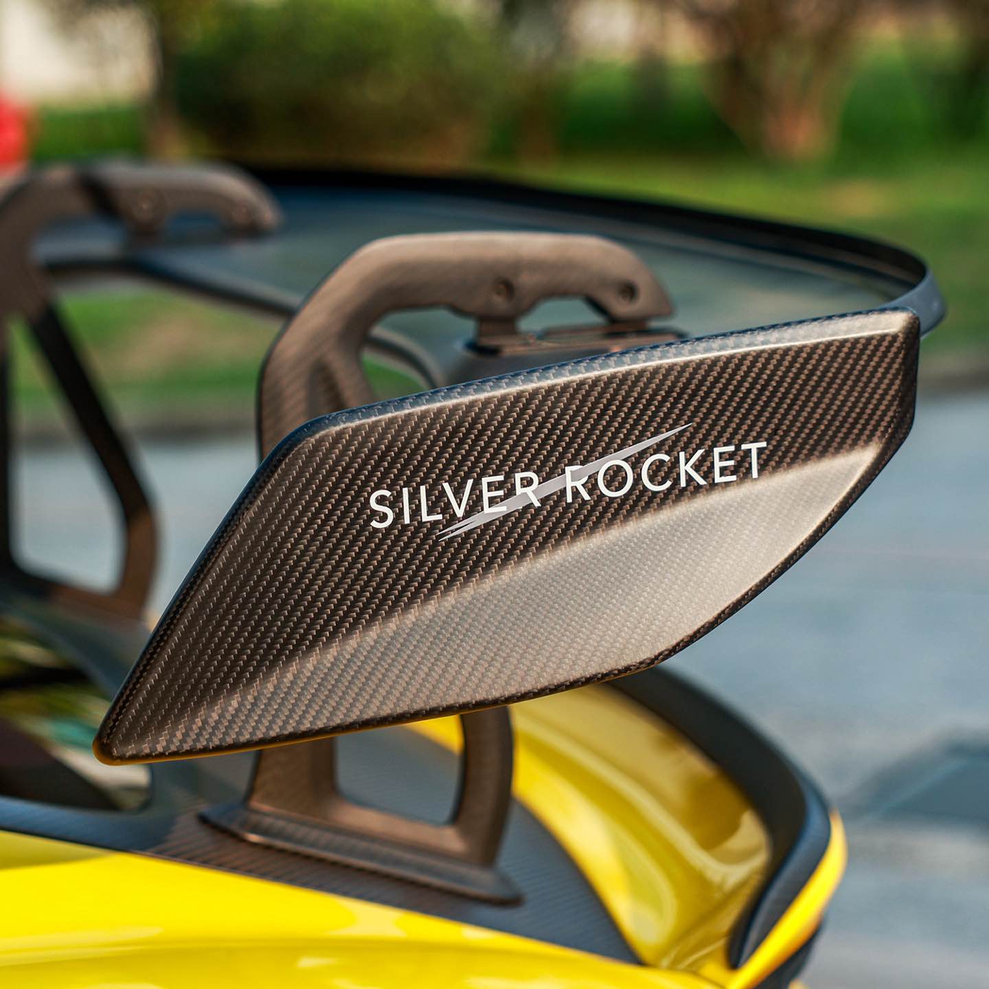 SR DRS-1 FLEX-CARBON SWAN NECK WING